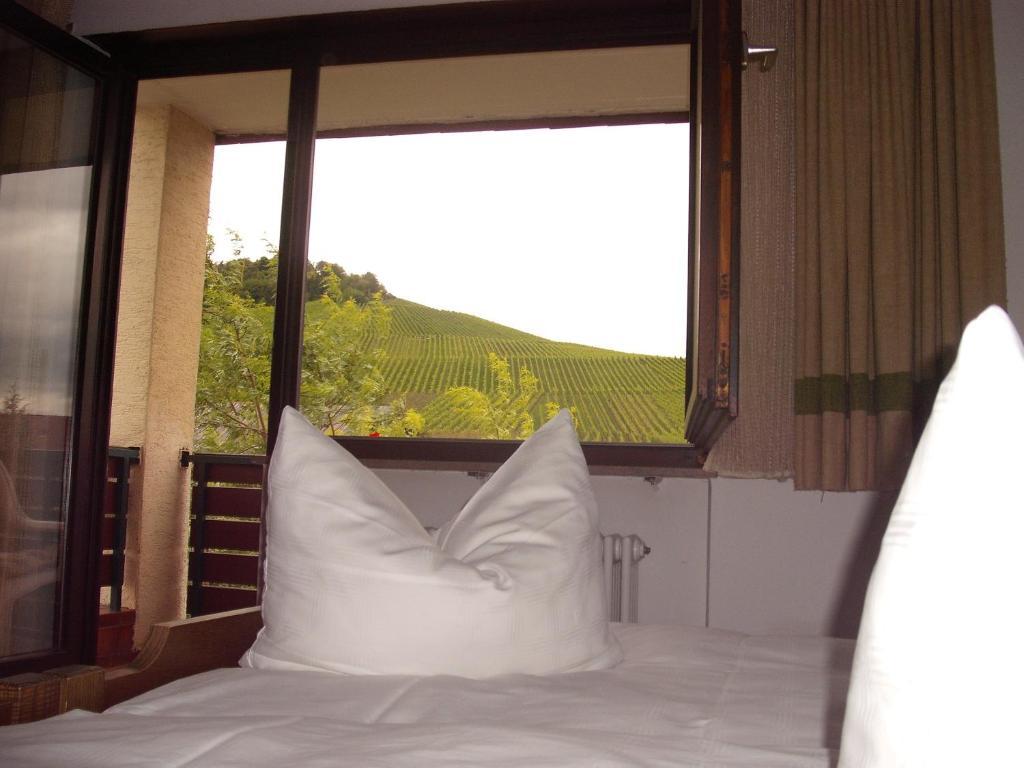 Alte Kelter Hotel Fellbach Quarto foto